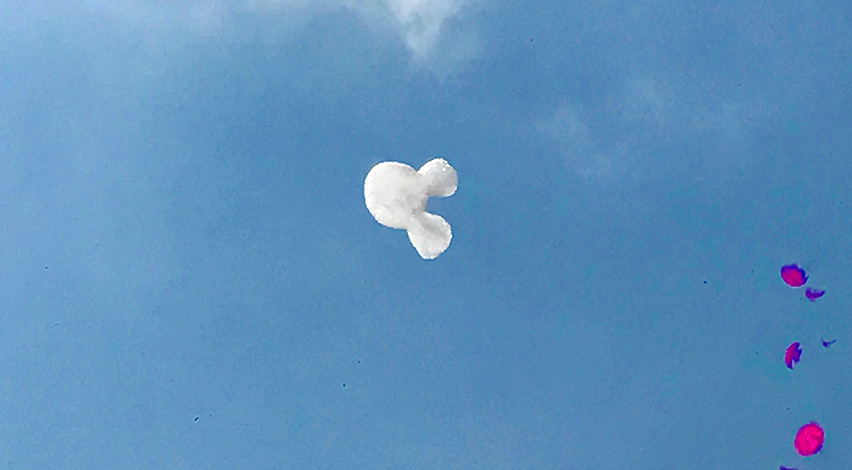 Flogos 1