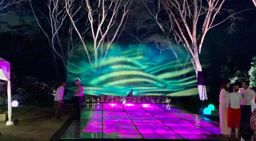 Water Shows 1